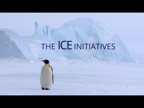 The Interactive Collaboration Examination (ICE) initiatives