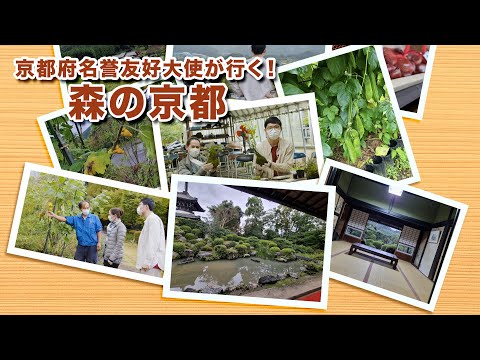 【もうひとつの京都 見聞録】「森の京都」編