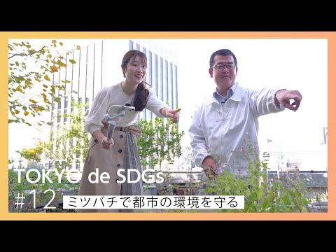 TOKYO de SDGs＃12 銀座ミツバチプロジェクト