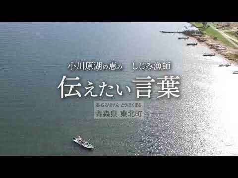 【青森県東北町】小川原湖の恵み　しじみ漁師「伝えたい言葉」