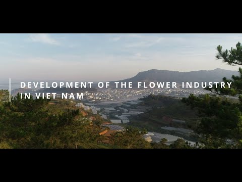 Development of the flower industry in Viet Nam