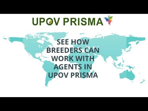 UPOV PRISMA - How breeders can work with agents