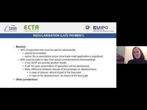 Joint Webinar ECTA and BMM (EUIPO TMD webinar series) - 9 December 2021