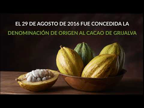 Denominación de Origen Cacao