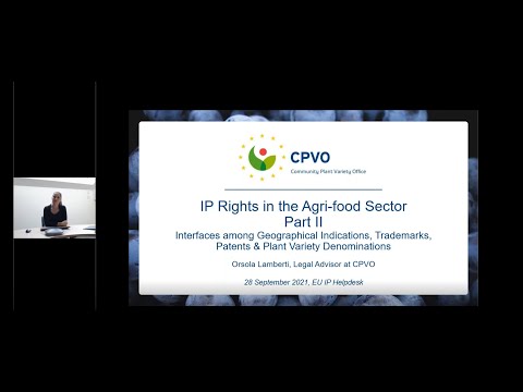 Webinar: IPR in Agri food Sector II: conflicts and synergies among GIs, Trademarks, Patents &amp; PVDs