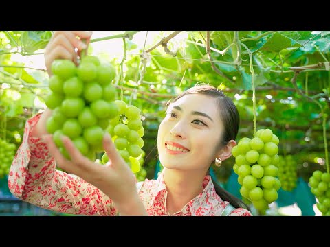 山梨が育む『緑の宝石』シャインマスカット～Fruit Gem in Yamanashi～