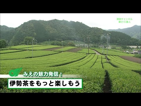 みえの魅力発信（伊勢茶をもっと楽しもう）【三重県公式広報番組 県政チャンネル 輝け！三重人】