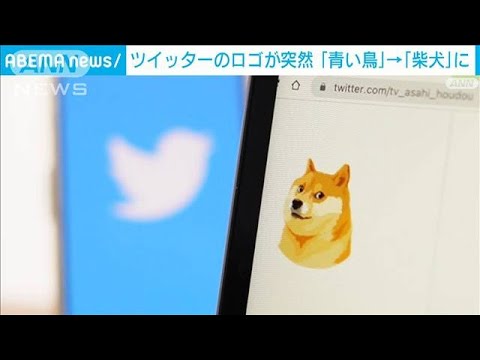 ツイッターのロゴ「青い鳥」→「柴犬」に変更　マスク氏「約束通り」(2023年4月4日)