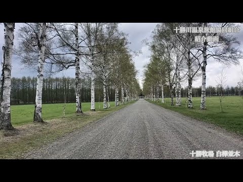 【日本の名湯】ご公認団体 十勝川温泉旅館協同組合 紹介動画