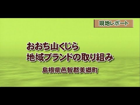 おおち山くじら地域ブランドの取り組み-島根県邑智郡美郷町-