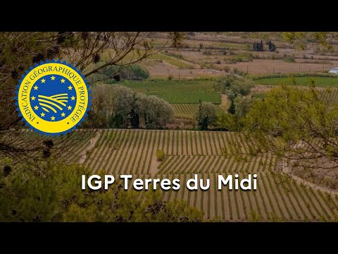 Les vins « Terres du Midi » reconnus en IGP