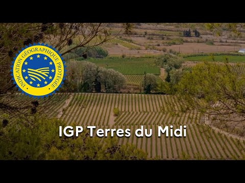 Les vins « Terres du Midi » reconnus en IGP