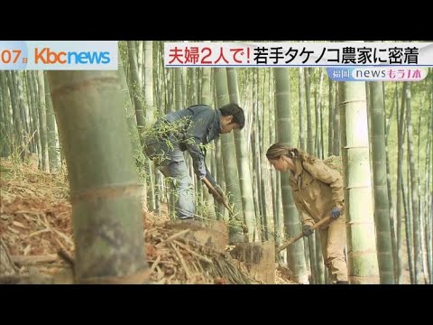 今が旬！合馬たけのこ　２年目の若手農家の大奮闘