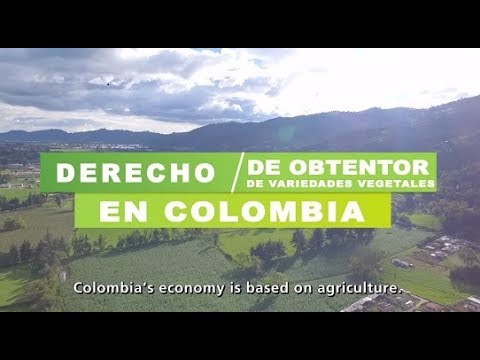 (Colombia) UPOV system bringing benefits for agriculture in Colombia
