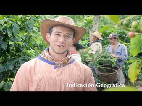 Testimonial Indicación Geografica café y banano de Costa Rica Propiedad Industrial