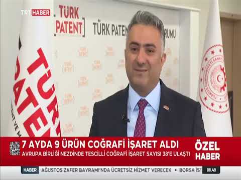 📊 2025’in Ocak–Temmuz Dönemi Sınai Mülkiyet Verileri