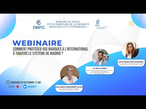 Comment protéger vos marques à l'international à travers le système de Madrid?