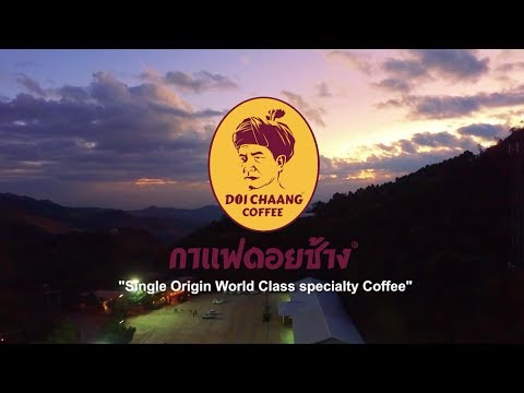 History of Doi Chaang Coffee - (English Version)