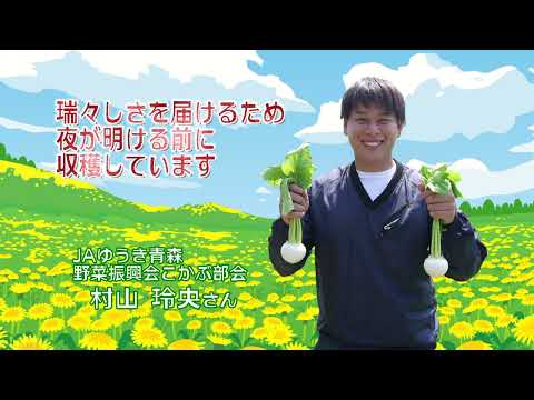 2022年6月3日放送「Fresh Vegetable」旬の「野辺地葉つきこかぶ」を紹介～JAゆうき青森より～