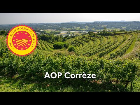 Les vins de « Corrèze » reconnus en Appellation d’origine protégée (AOP)