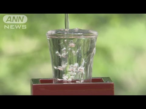 「日本酒」名乗れるのは「国産米に国内の水」に限る(15/06/09)