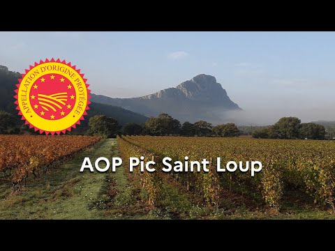 Viticulture - « Pic Saint-Loup » reconnu en Appellation d’Origine Protégée (AOP)