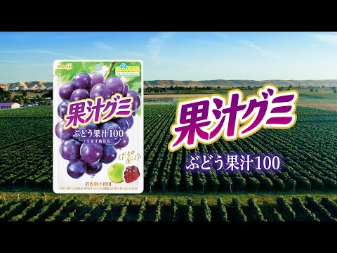 果汁グミ「ぶどう農園」篇　15秒