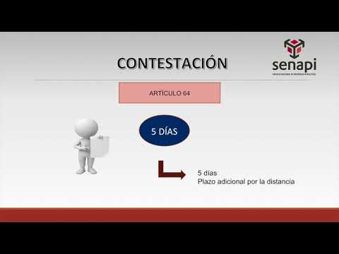 Senapi Académico - Acciones de Infracción a Derechos de Propiedad Industrial