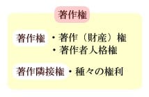 著作権の種類