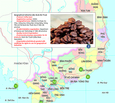 ベトナム知的財産庁(NOIP)t地理的表示(geographical indications)